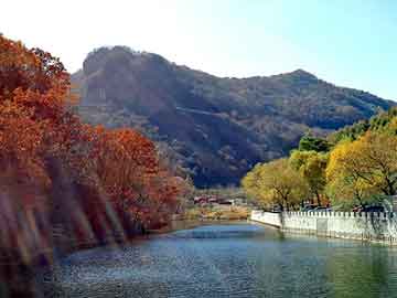 神马免费午夜福利剧场，最新小说排行